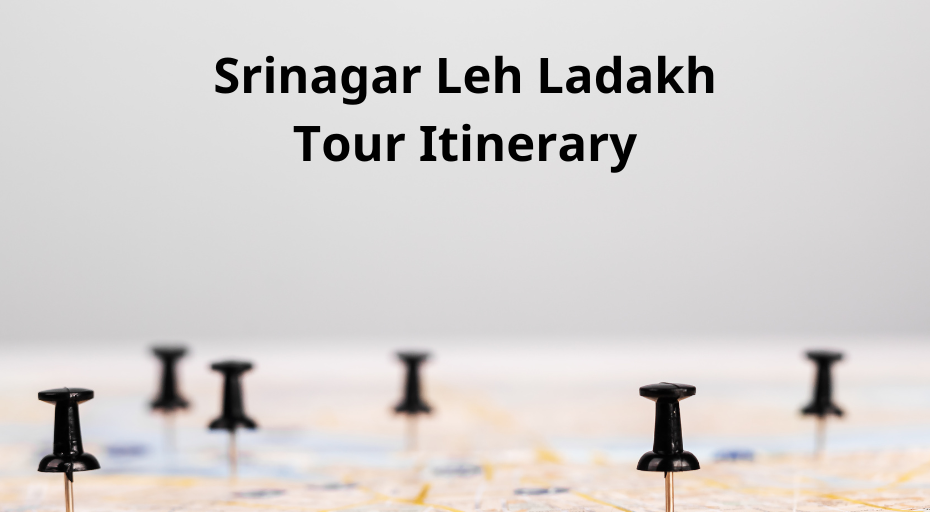 srinagar leh ladakh tour itinerary for 10 nights 11 days