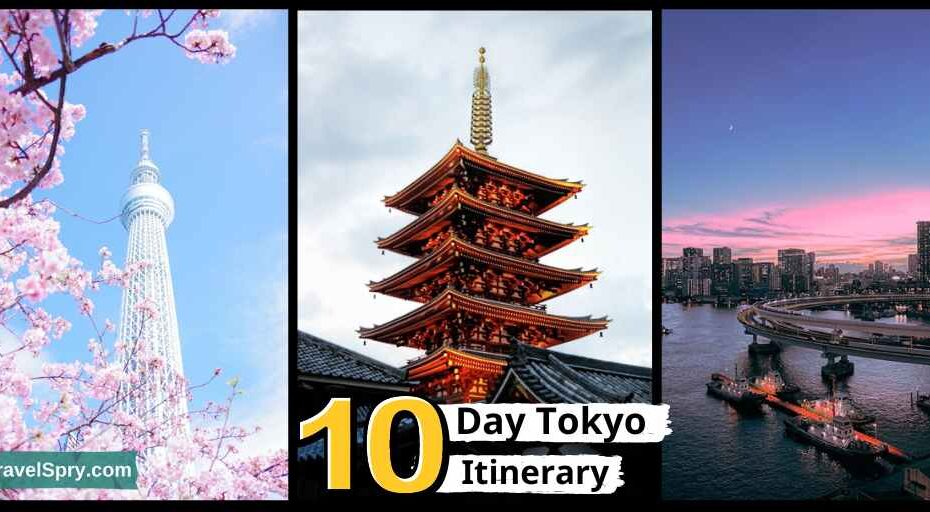 10 Day Tokyo Itinerary