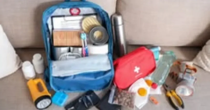 emergency travel preparedness guide